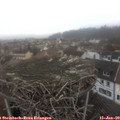 13_05-nest.jpg