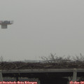 13_10-mast.jpg