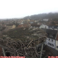 13_10-nest.jpg