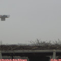 13_15-mast.jpg
