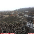 13_15-nest.jpg
