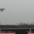 13_20-mast.jpg