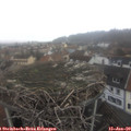 13_20-nest.jpg