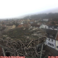 13_25-nest.jpg