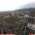 13_30-nest.jpg