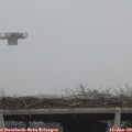 13_35-mast.jpg