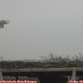 13_45-mast.jpg