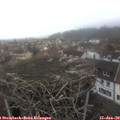 13_45-nest.jpg