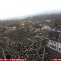 14_00-nest.jpg