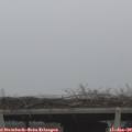 14_05-mast.jpg