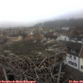14_05-nest.jpg