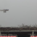 14_10-mast.jpg