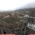 14_10-nest.jpg