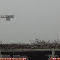 14_15-mast.jpg
