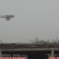 14_20-mast.jpg