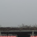 14_30-mast.jpg