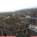 14_30-nest.jpg