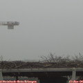 14_40-mast.jpg