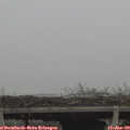14_45-mast.jpg
