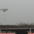 14_50-mast.jpg