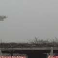 14_55-mast.jpg