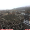 14_55-nest.jpg