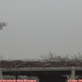 15_05-mast.jpg