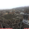 15_05-nest.jpg