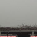15_10-mast.jpg