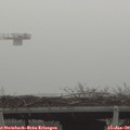 15_15-mast.jpg