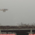 15_20-mast.jpg