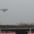 15_25-mast.jpg