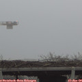 15_30-mast.jpg