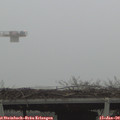 15_40-mast.jpg
