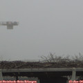 15_45-mast.jpg