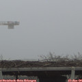 15_50-mast.jpg