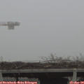 15_55-mast.jpg