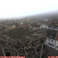 15_55-nest.jpg