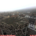 16_10-nest.jpg