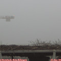 16_15-mast.jpg