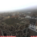 16_15-nest.jpg