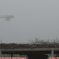 16_20-mast.jpg