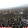 16_20-nest.jpg