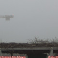 16_25-mast.jpg
