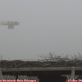 16_30-mast.jpg