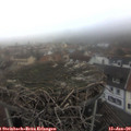 16_30-nest.jpg