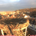 08_35-nest.jpg