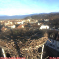 09_00-nest.jpg