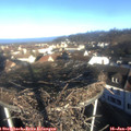 09_15-nest.jpg
