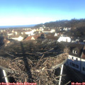 09_25-nest.jpg